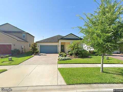 Wisdom, LAND O LAKES, FL 34638