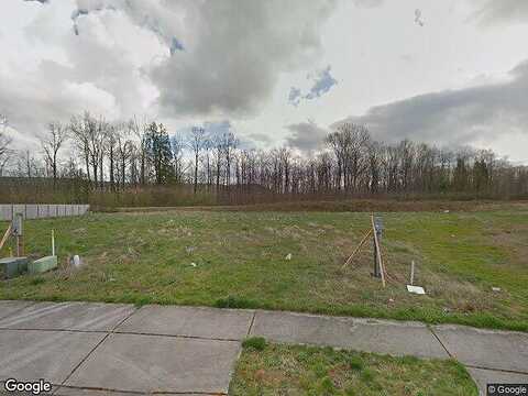 Phoenix, ORTING, WA 98360