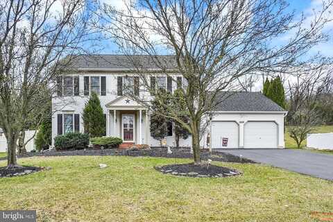 Friesian, YORK, PA 17406