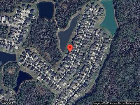Carolina Cherry, TAMPA, FL 33647