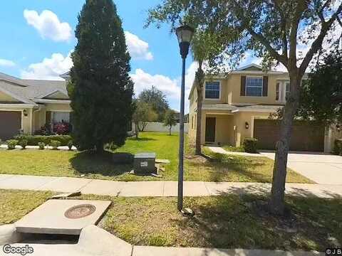 Pond Apple, TAMPA, FL 33647