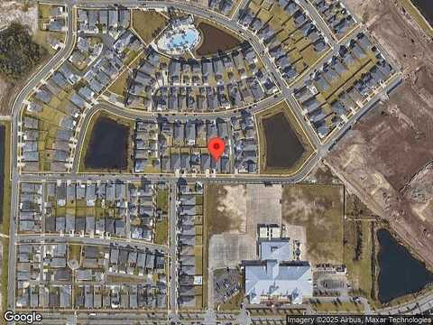 Warbler, PANAMA CITY, FL 32405