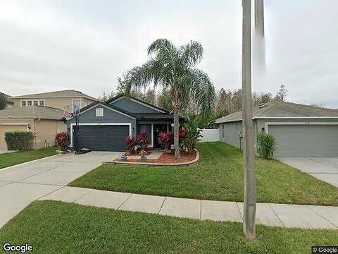 Snowdonia, LAND O LAKES, FL 34638