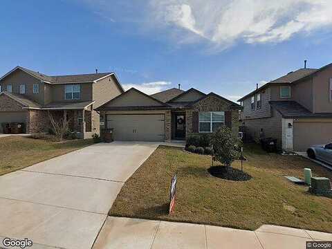 Bahama Woodstar, SAN ANTONIO, TX 78253