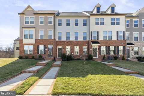 Red Mulberry, DUMFRIES, VA 22026