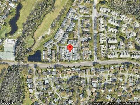 Rambling Vine, TAMPA, FL 33624