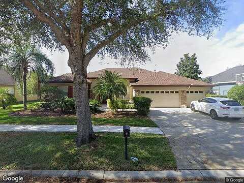 Ibisridge, LITHIA, FL 33547