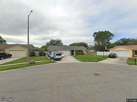 Bert, TAMPA, FL 33625