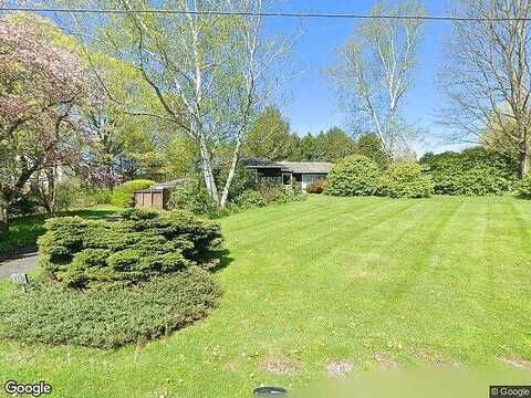 Red Maple, JENNERSTOWN, PA 15547