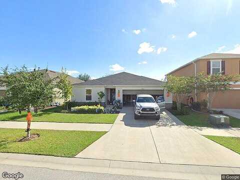 Massimo, WIMAUMA, FL 33598