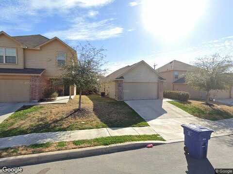 Goose, SAN ANTONIO, TX 78224
