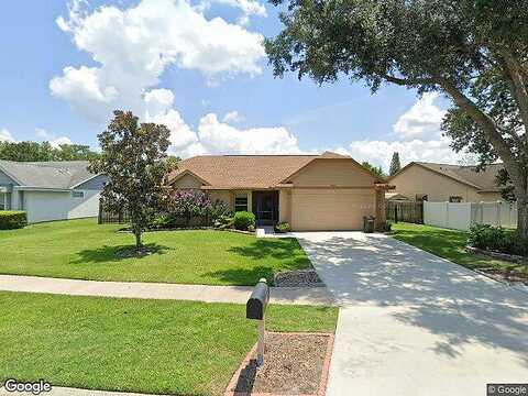 Pink Carnation, ORLANDO, FL 32825