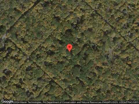 White Pine, POCONO LAKE, PA 18347