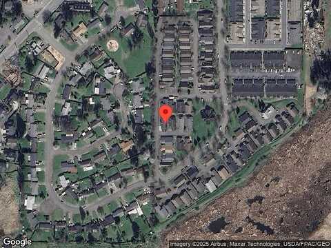Goldenrod, FERNDALE, WA 98248