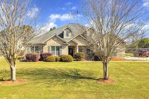 Aves, MCDONOUGH, GA 30252
