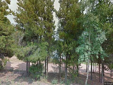 Gray, CONIFER, CO 80433