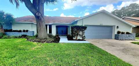 Bridgeport, SAFETY HARBOR, FL 34695