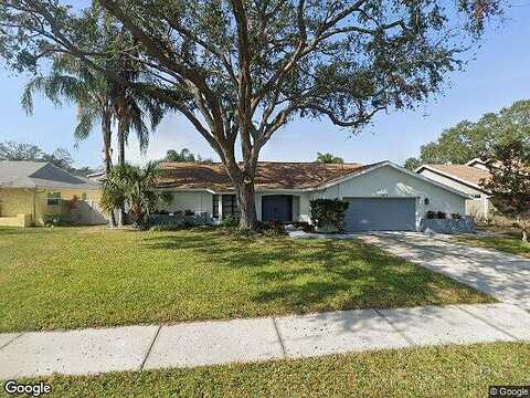 Bridgeport, SAFETY HARBOR, FL 34695