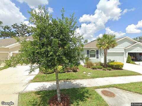 Mango Fade, SAN ANTONIO, FL 33576