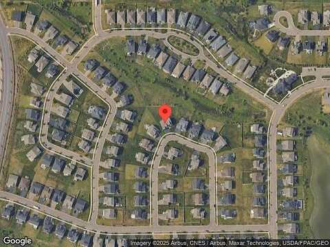 Goldfinch, LAKEVILLE, MN 55044