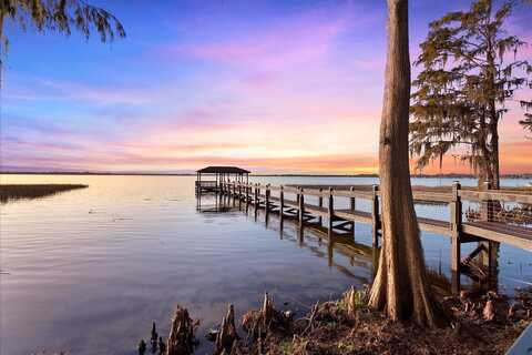 Acorn, TAVARES, FL 32778