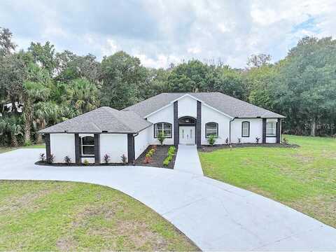 Scarlett, NEW SMYRNA BEACH, FL 32168