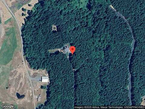 Shy Bear, TOUTLE, WA 98649