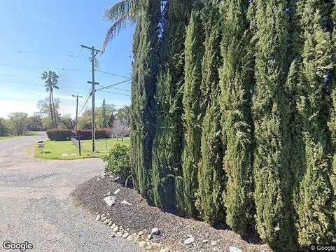 Noah, LOOMIS, CA 95650
