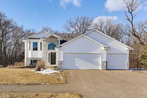 Linnet, CEDAR, MN 55011