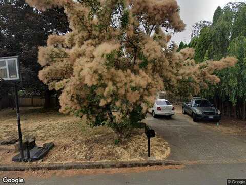 Pine, HILLSBORO, OR 97123