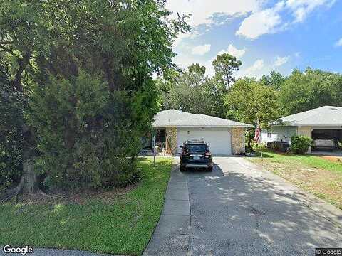 Underbrush, PORT ORANGE, FL 32128