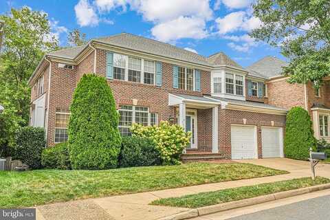 Avignon, FALLS CHURCH, VA 22043