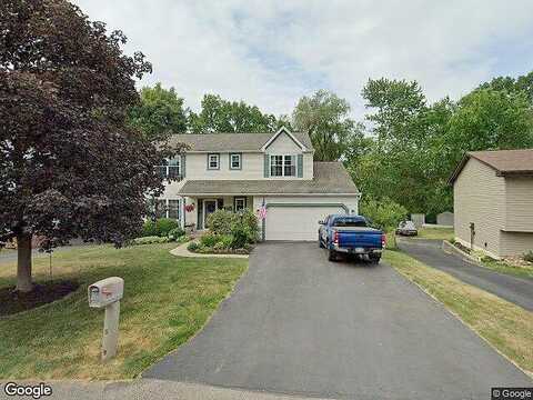 Hummingbird, CRANBERRY TOWNSHIP, PA 16066