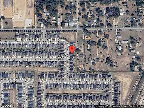 Pheasant, HAINES CITY, FL 33844