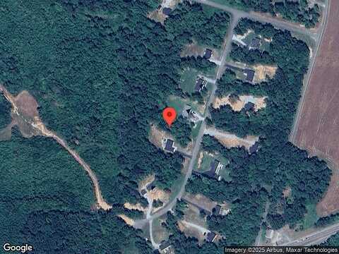 Silver Maple, JETERSVILLE, VA 23083