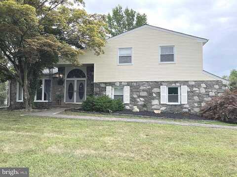 Killdeer, HUNTINGDON VALLEY, PA 19006