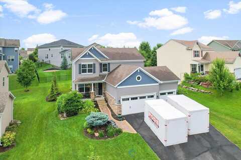 Marigold, CHANHASSEN, MN 55317