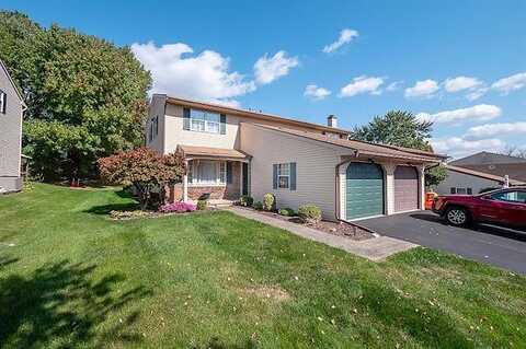 Robert, WHITEHALL, PA 18052