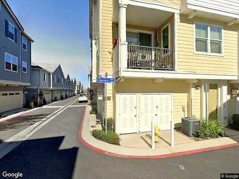 Surfbird, IMPERIAL BEACH, CA 91932