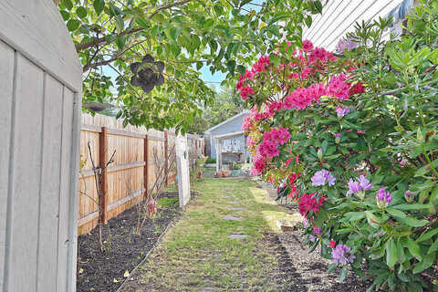 Reddy, MEDFORD, OR 97504
