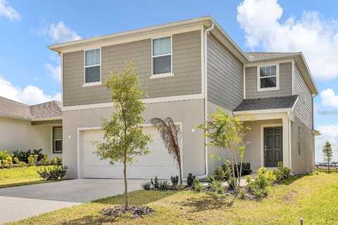 Catania, CLERMONT, FL 34714