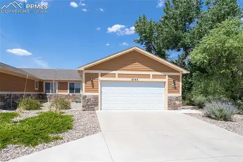 Gelbvieh, PEYTON, CO 80831