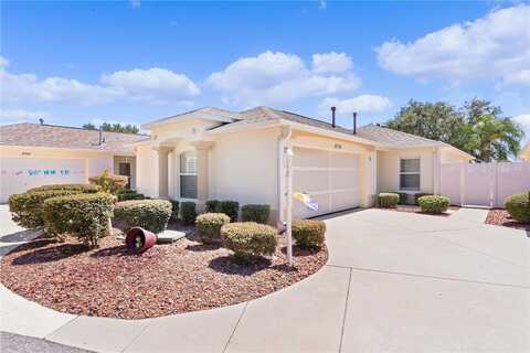 166Th Birchbrook, THE VILLAGES, FL 32162