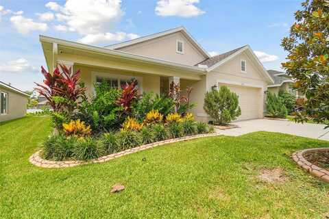 Runner Oak, WESLEY CHAPEL, FL 33545