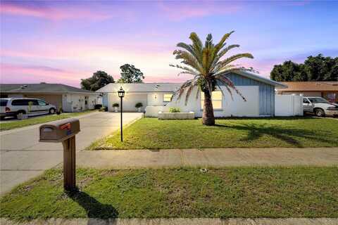 Pin Cherry, PORT RICHEY, FL 34668