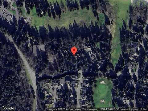 Snow Goose, BLAINE, WA 98230