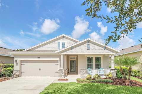 Freesia, DELAND, FL 32724