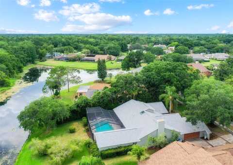 Diamond Head, TAMPA, FL 33624