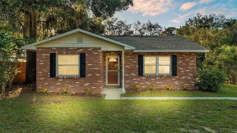 Callitris, POLK CITY, FL 33868