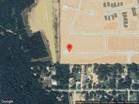 Hazelnut, CONROE, TX 77302